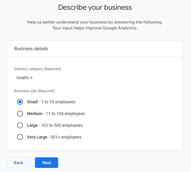 GA - Describe your business