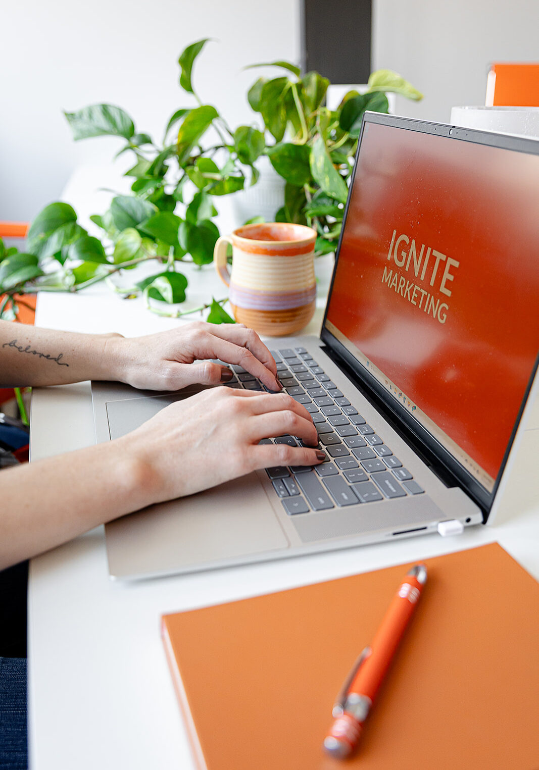 Ignite Marketing Website Design & Google Ads
